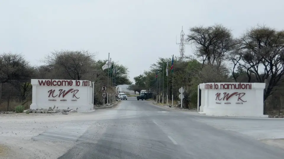 h8019b79.jpg