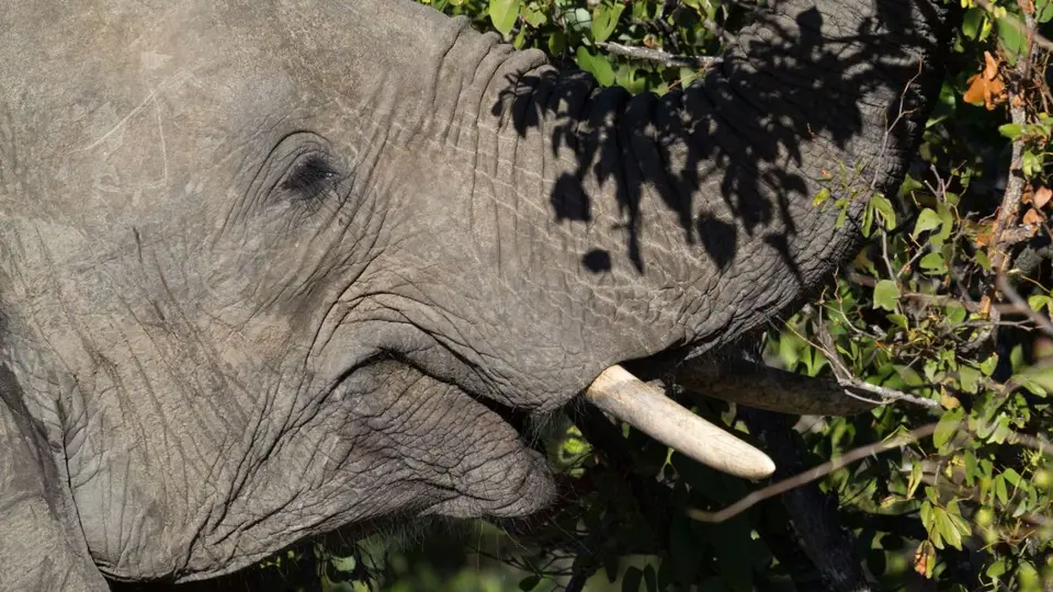 h8b2984a.jpg