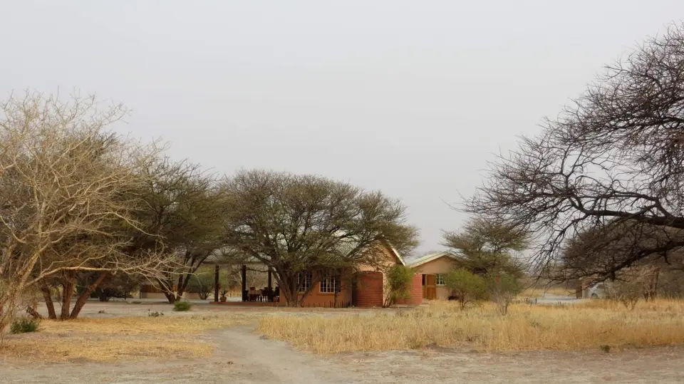 h91bace5.jpg