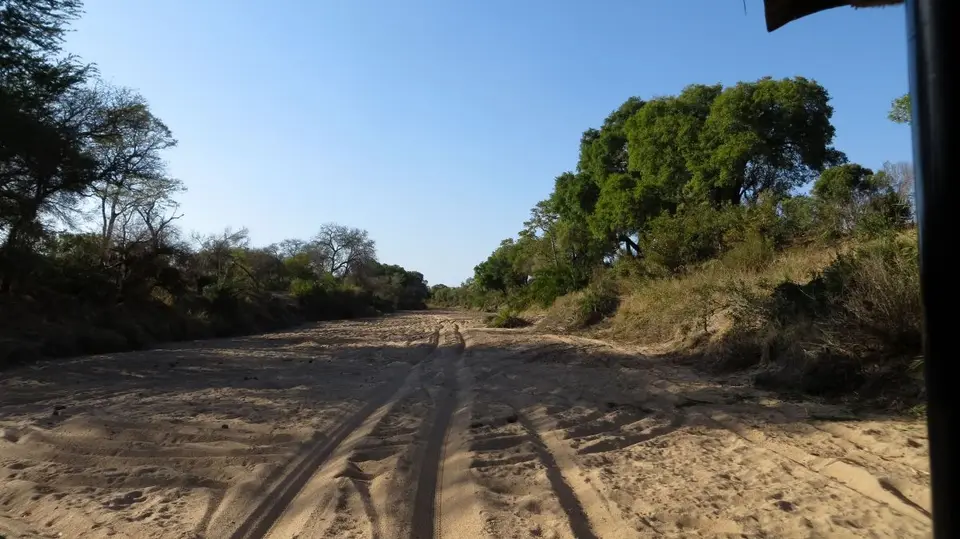 h9dd568f.jpg
