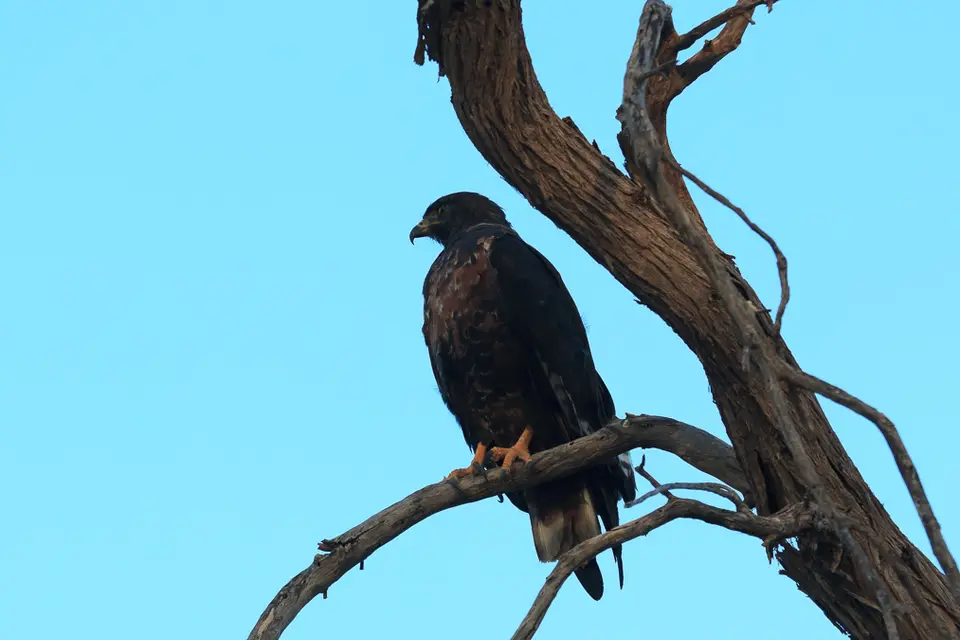 unbenannt(10von77).jpg