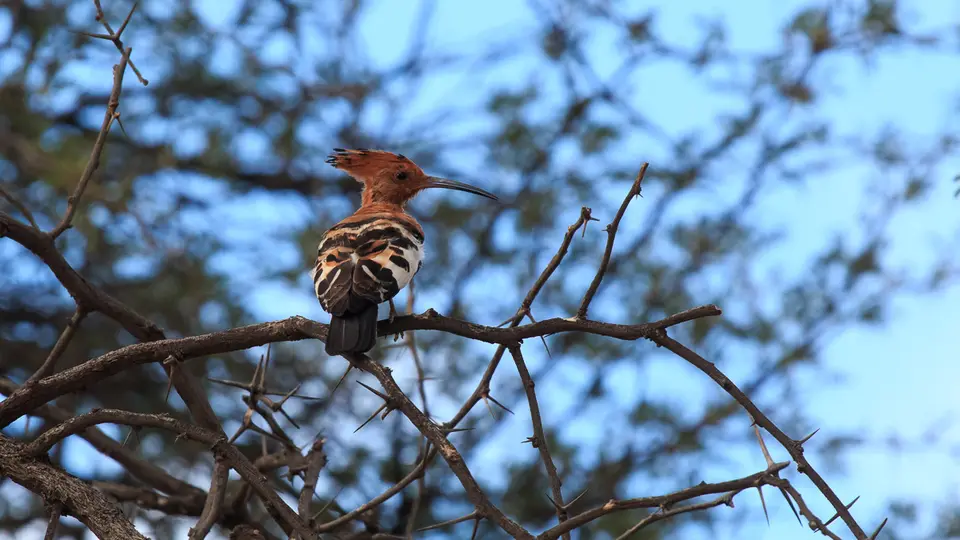 unbenannt(16von30).jpg