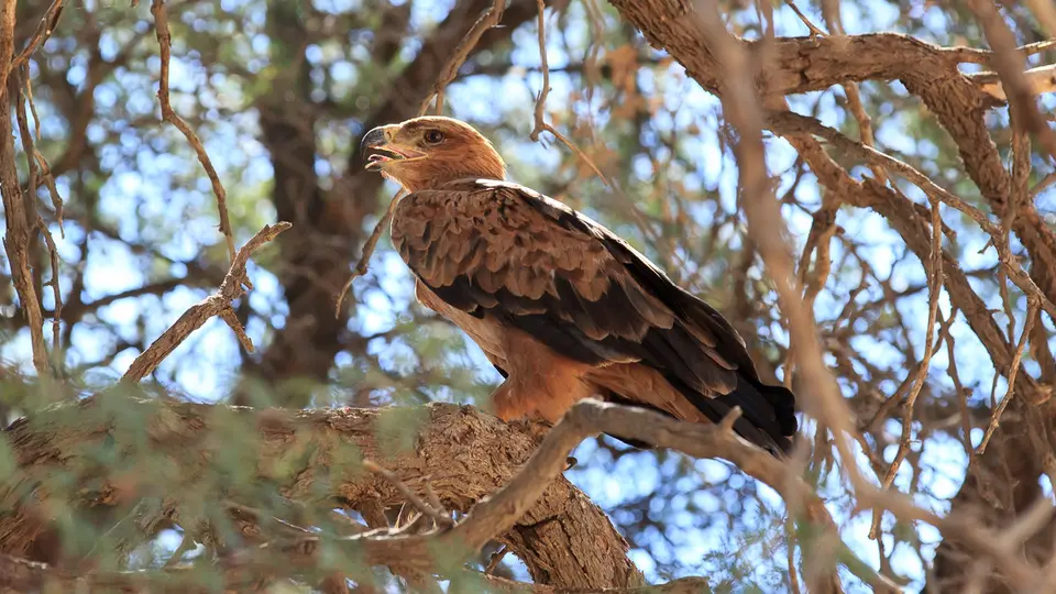 unbenannt(4von26)-2-3.jpg