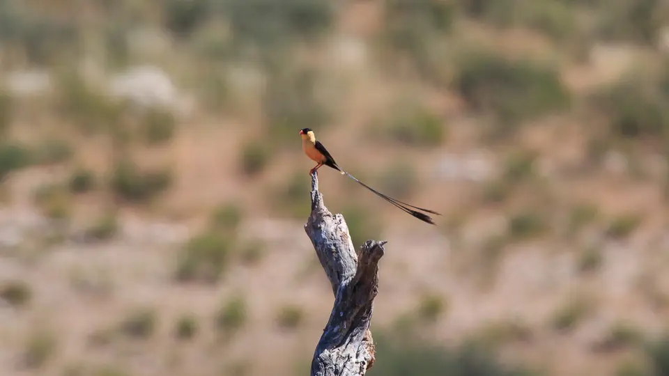 unbenannt(71von104).jpg
