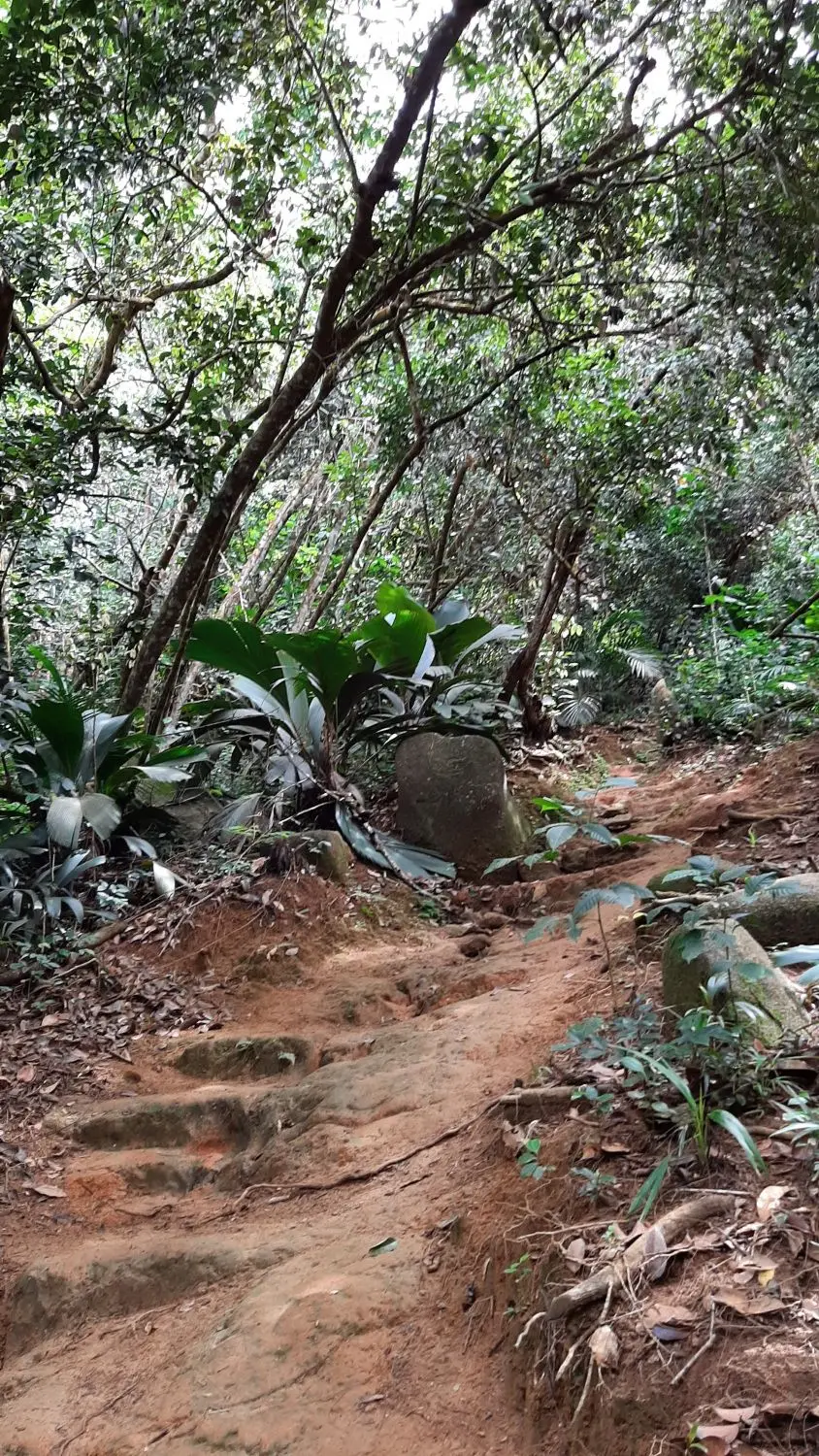 20190926_141940-2.jpg