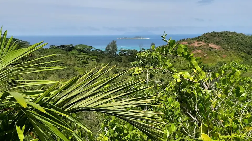 20190929_094437.jpg