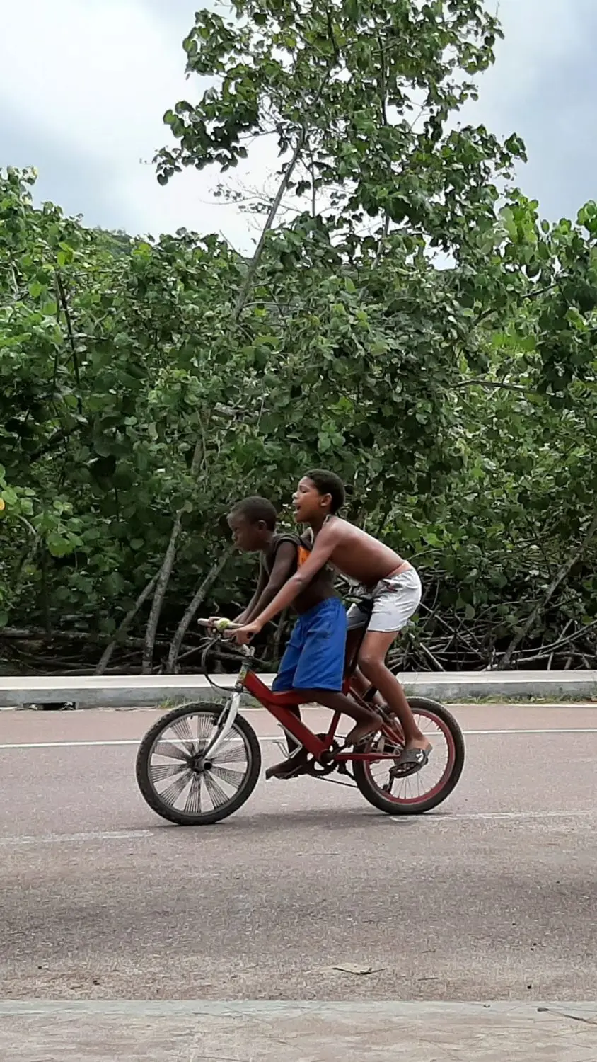 20190929_164136.jpg