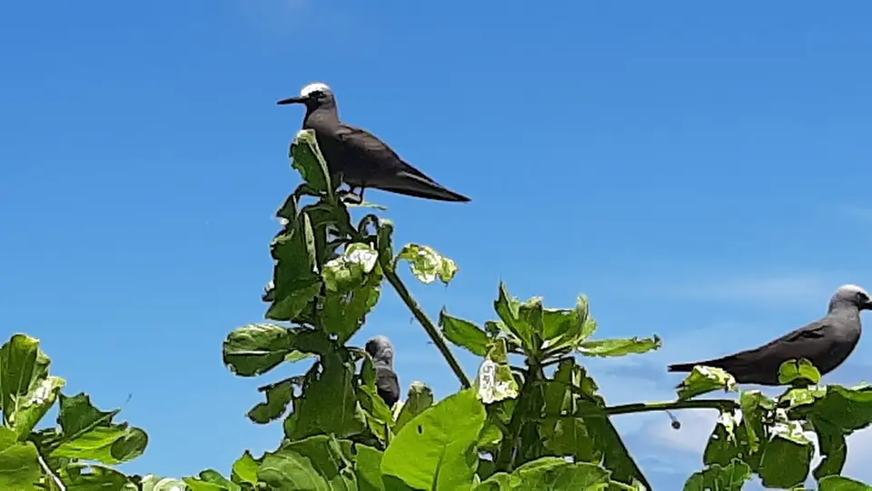 20190930_105532.jpg