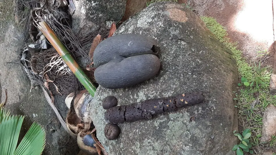 20191001_105208.jpg