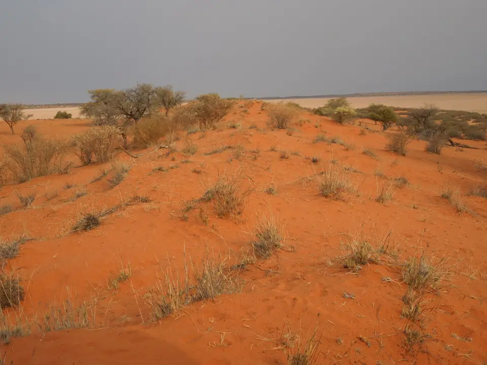 DSCN2308.JPG