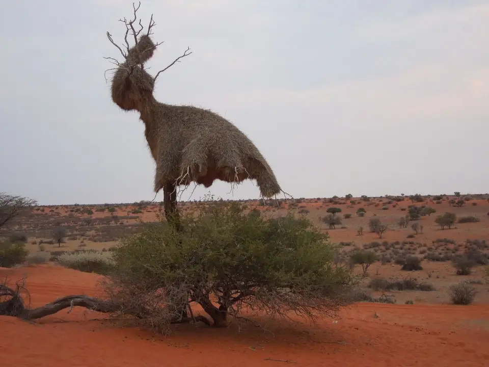DSCN2359.JPG
