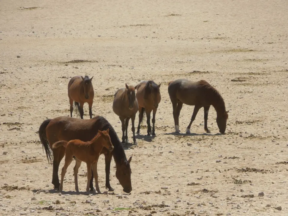 DSCN2563.JPG