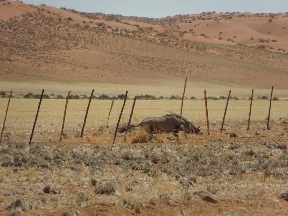 DSCN2570.JPG