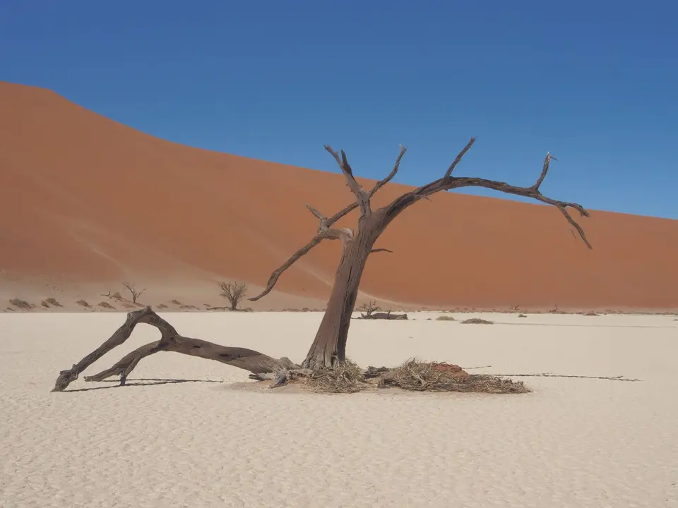 P9200346.JPG