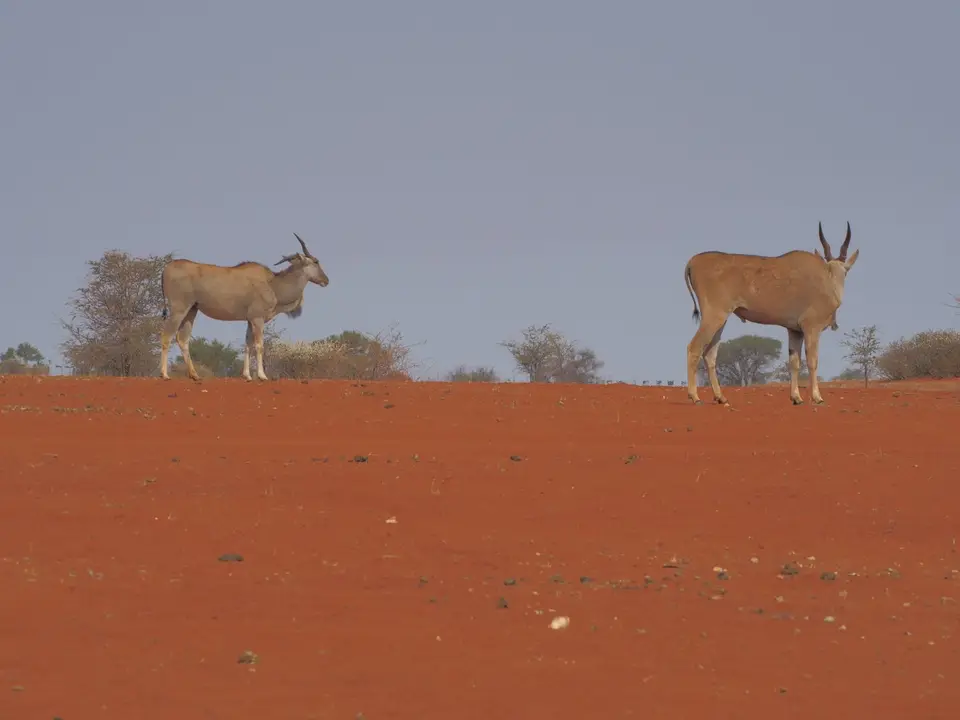 P9210411.JPG
