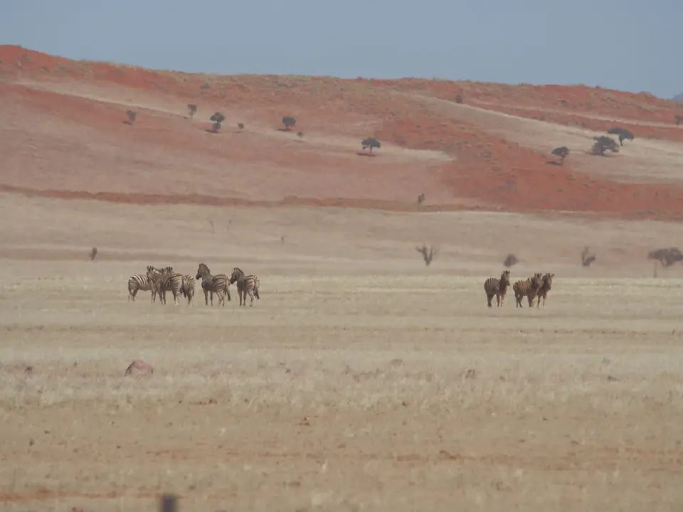 P9281513.JPG