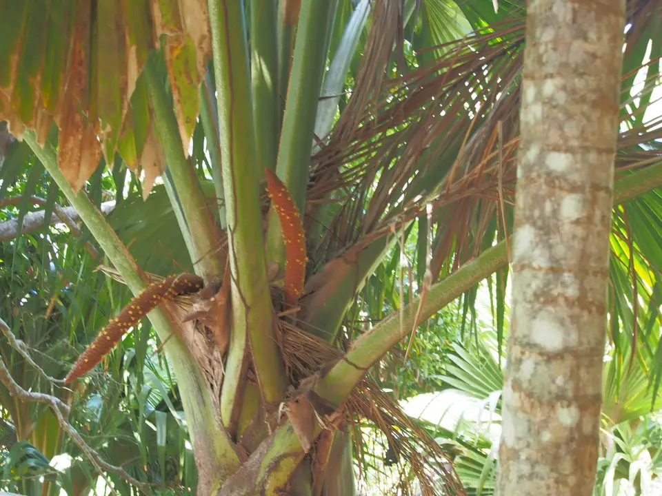 PA018743.JPG