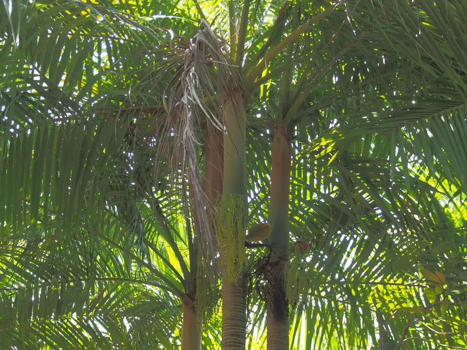PA018744.JPG