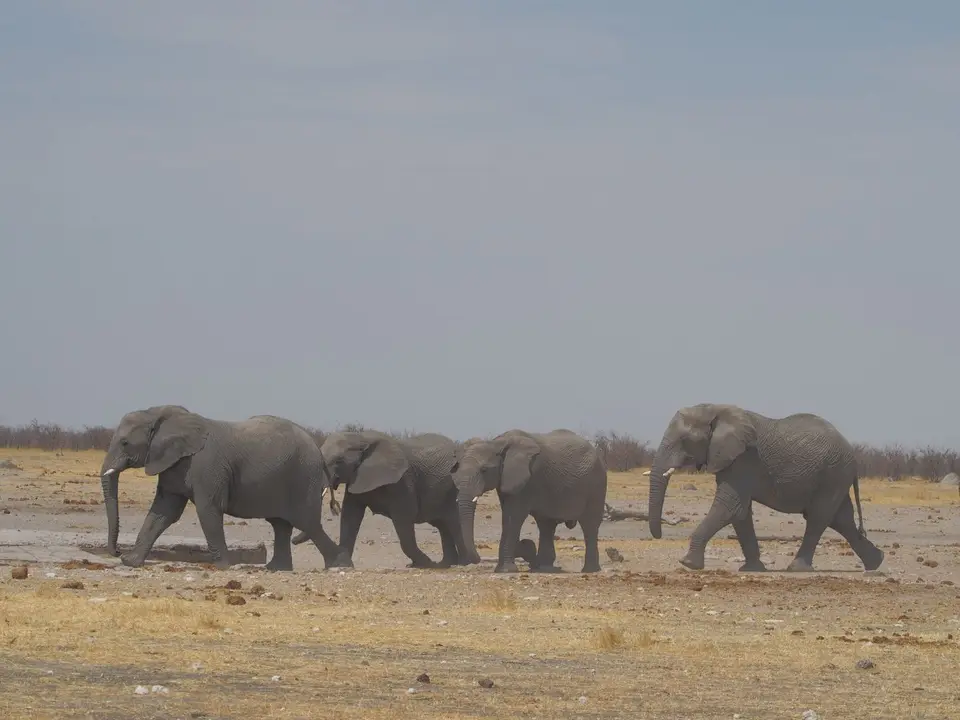 PA083660.JPG