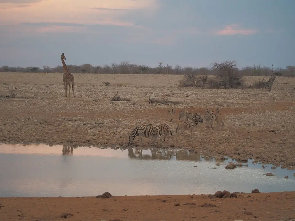 PA083765.JPG