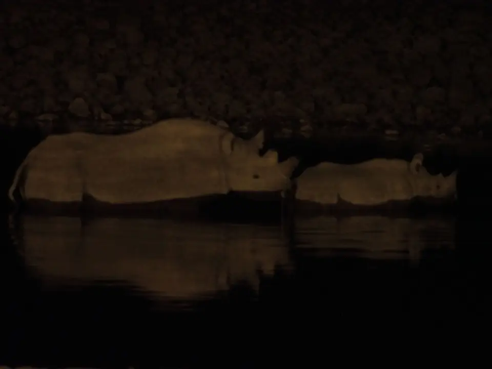 PA083872.JPG