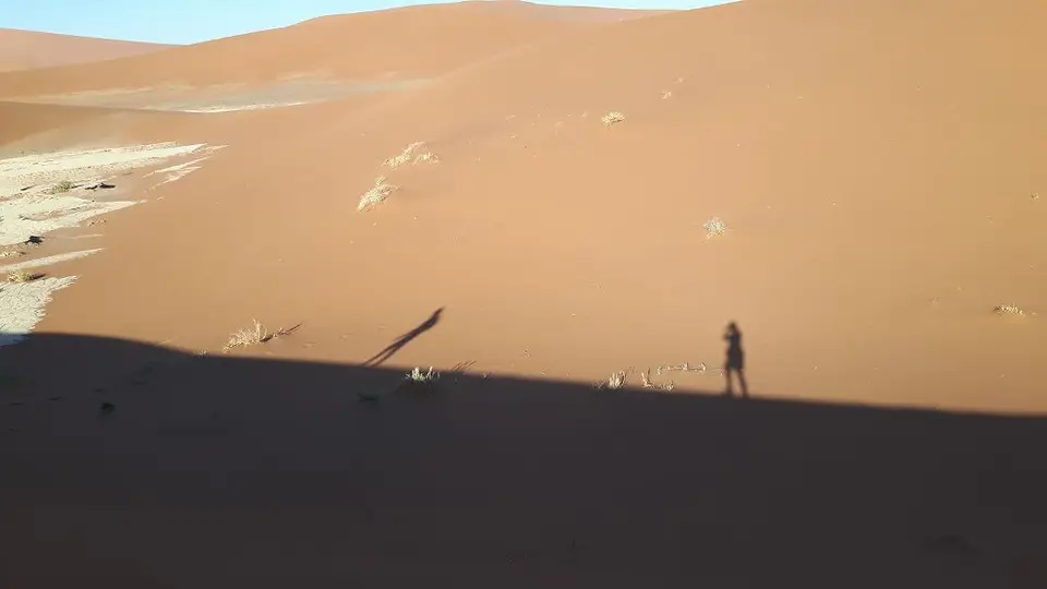 k-20180929_080259.jpg