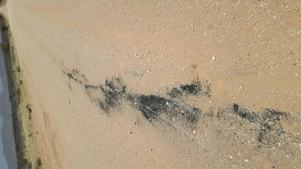k-20180930_125338.jpg