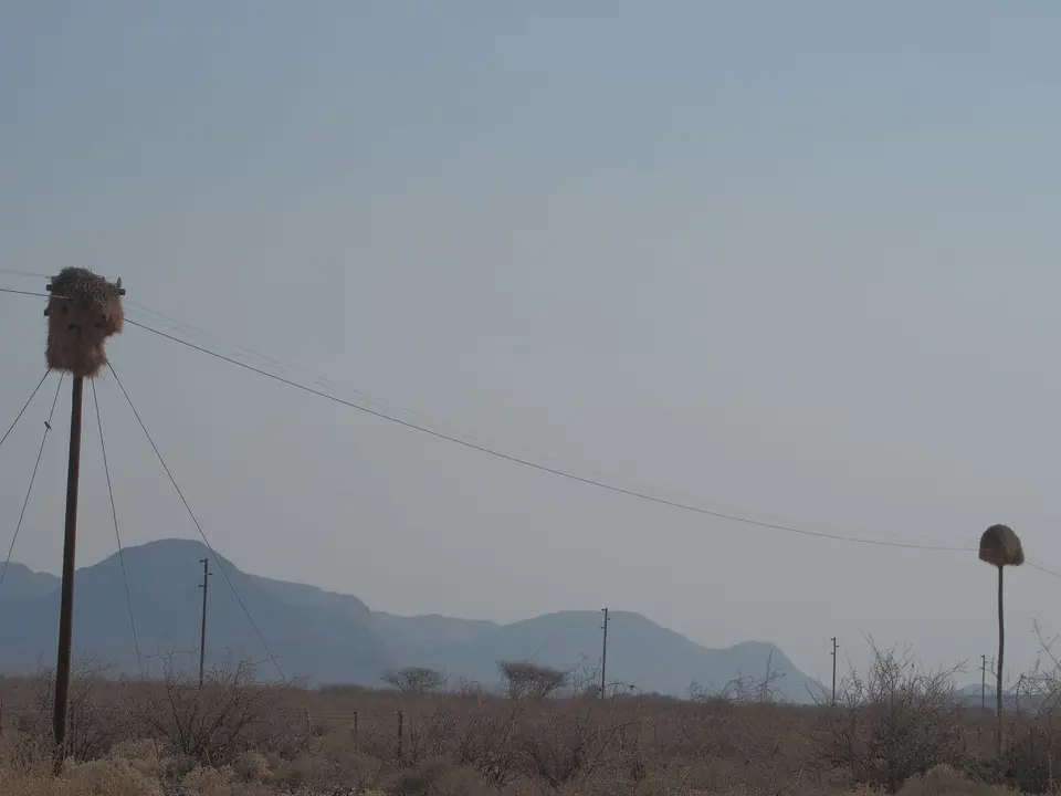 k-P9301700.JPG