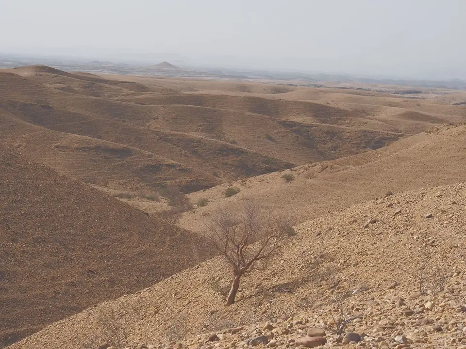 k-P9301748.JPG