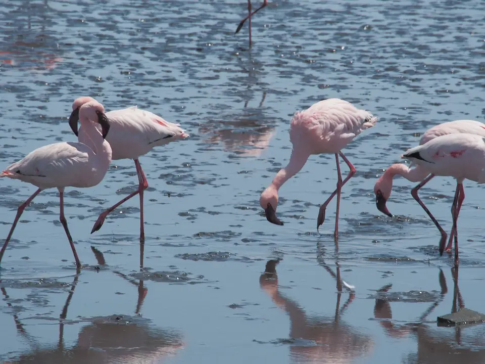 k-PA011915.JPG