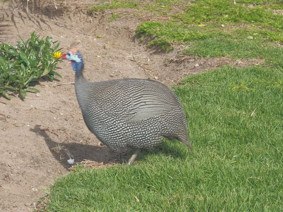 k-PA032150.JPG