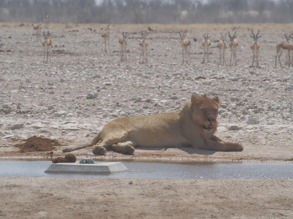 k-PA094114.JPG