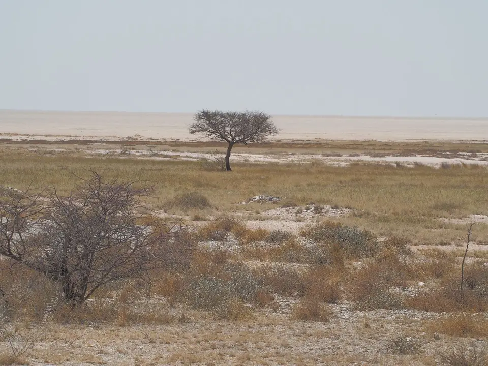 k-PA094189.JPG