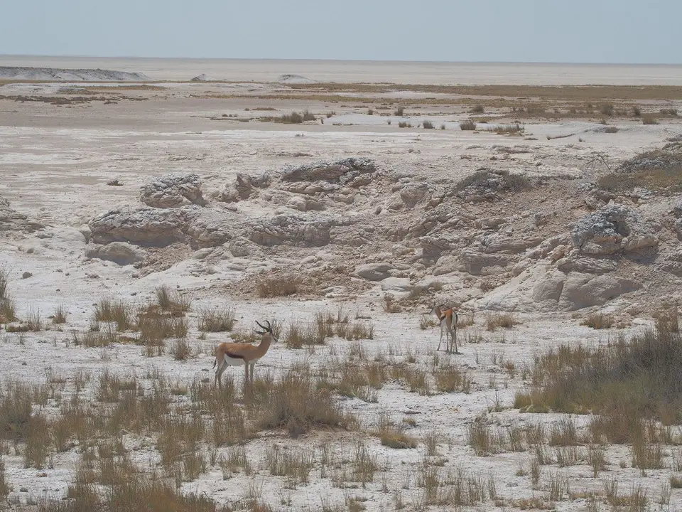 k-PA094191.JPG