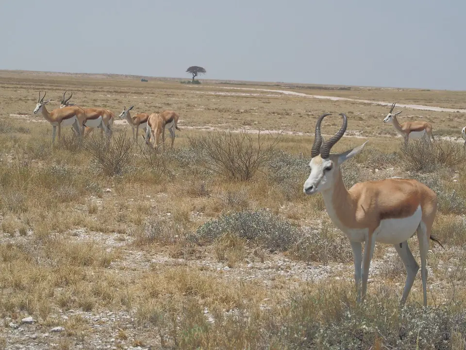 k-PA094192.JPG