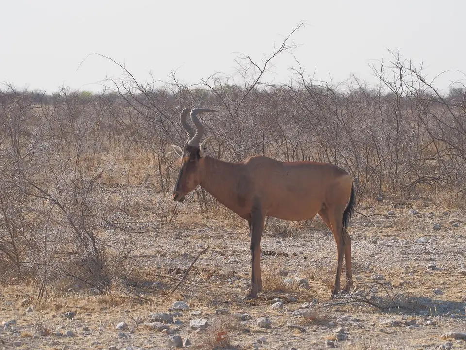k-PA094231.JPG