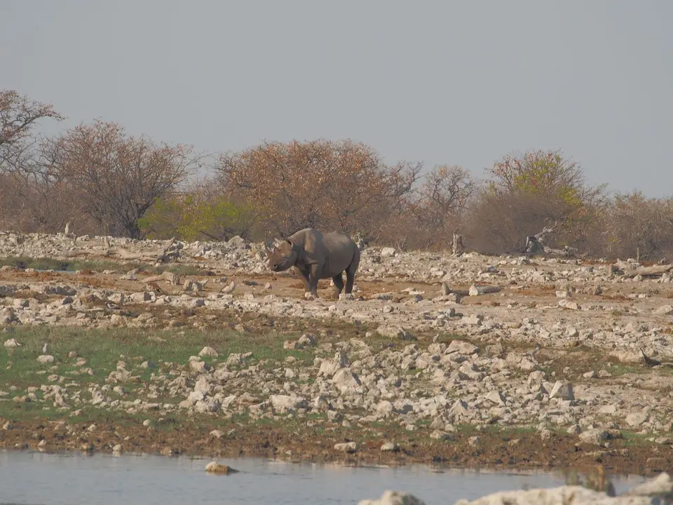 k-PA094296.JPG