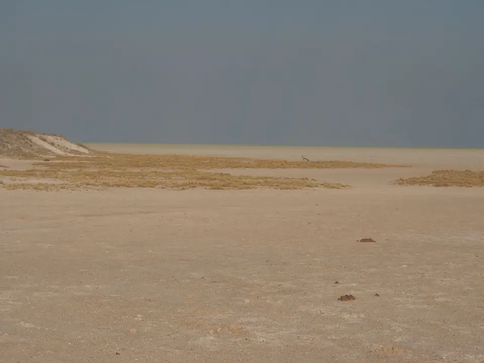 k-PA104687.JPG