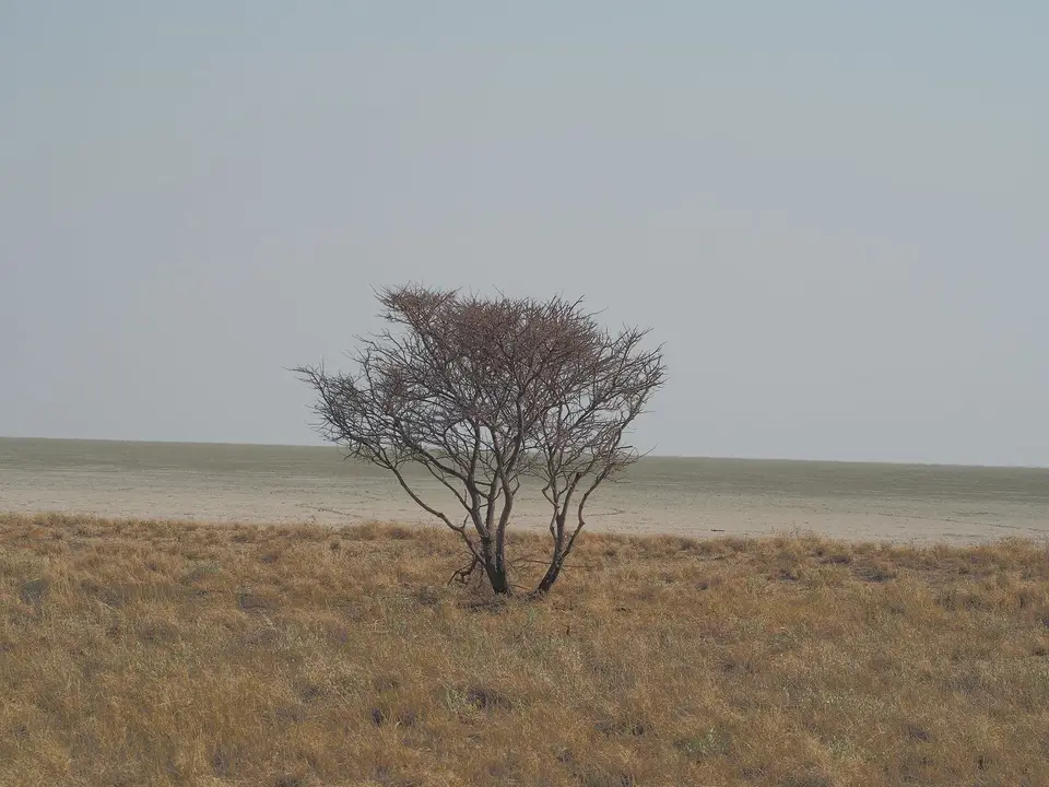 k-PA104704.JPG