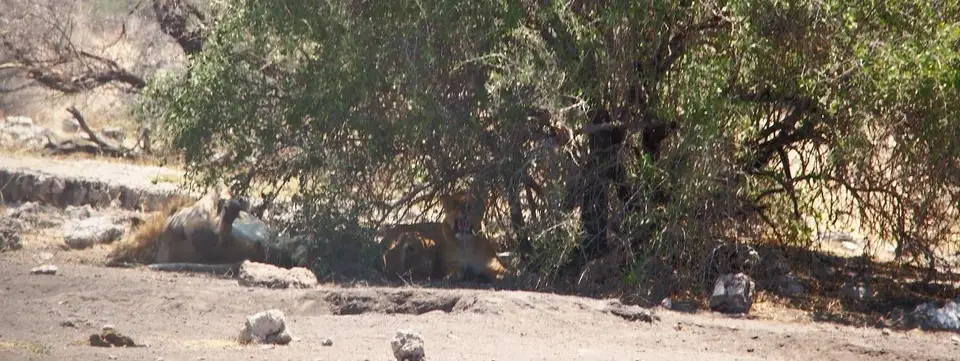 k-PA104923.JPG