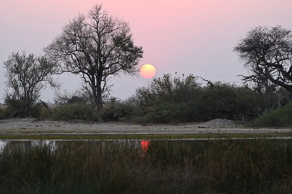 Moremi2_Sonnenaufgang.jpg