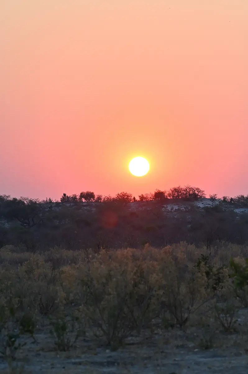 Savuti_Sonnenuntergang1.jpg