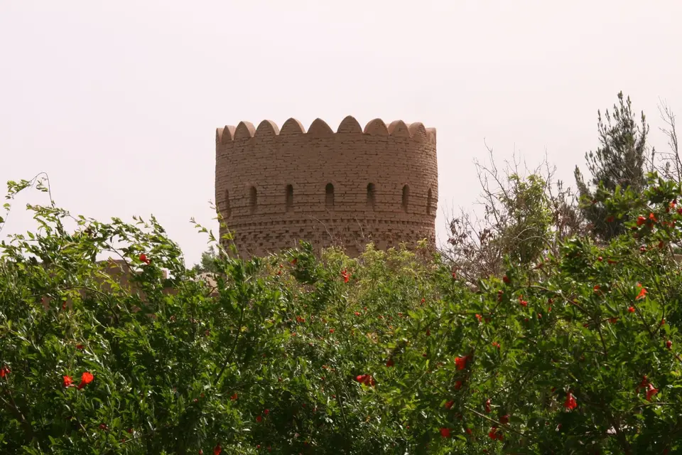 IMG_8394.JPG