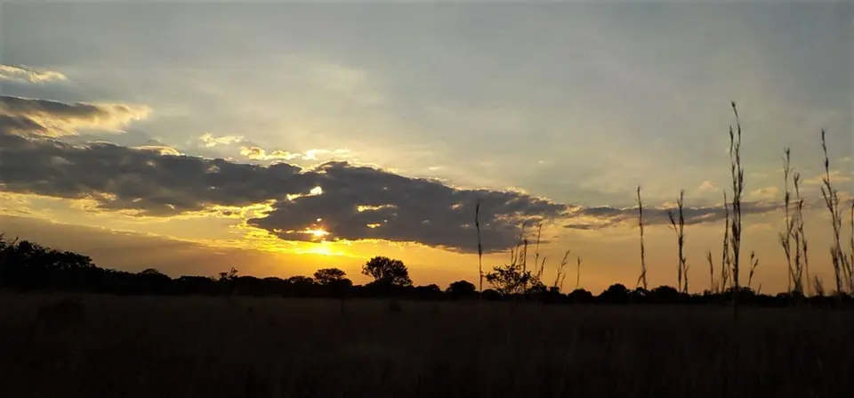 Kuti-Abend.jpg