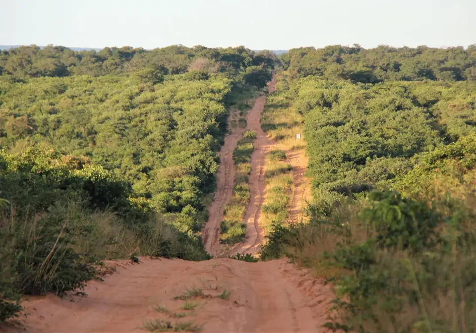 M-Savuti-Kav-4.jpg