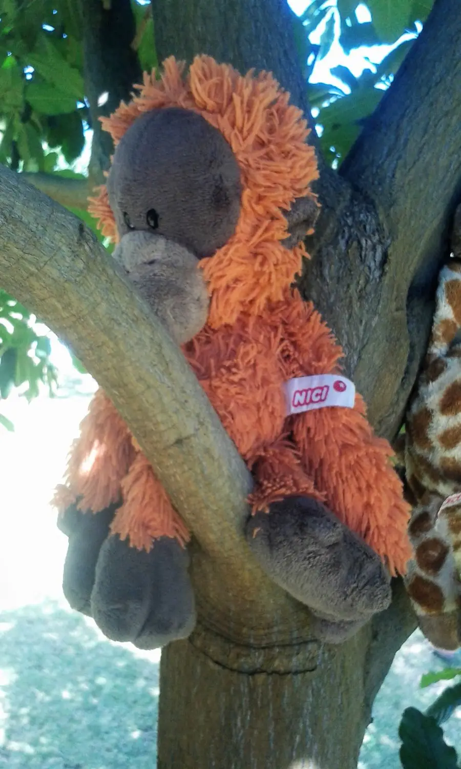 Mwandi-C-4-Affe.jpg