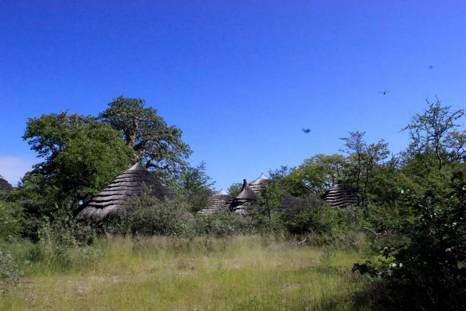 PlanetBaobab4.jpg