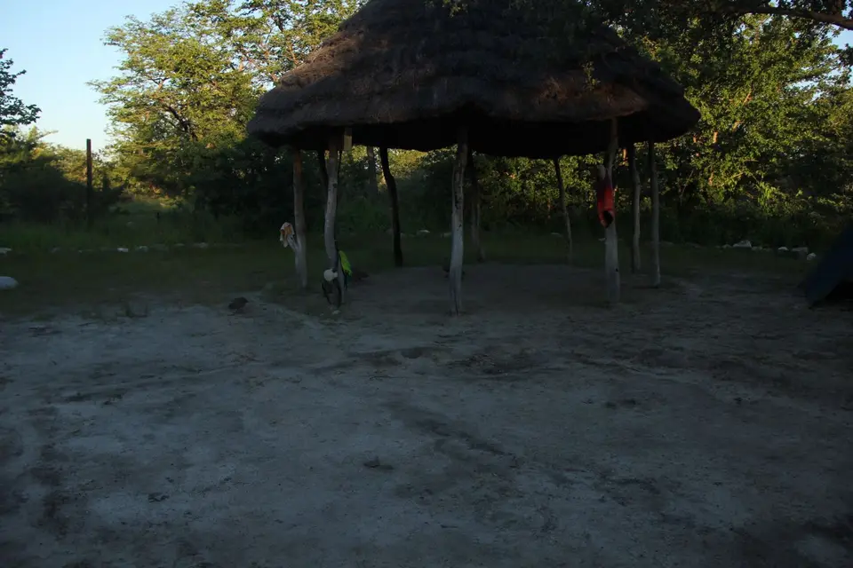 PlanetBaobab7.jpg