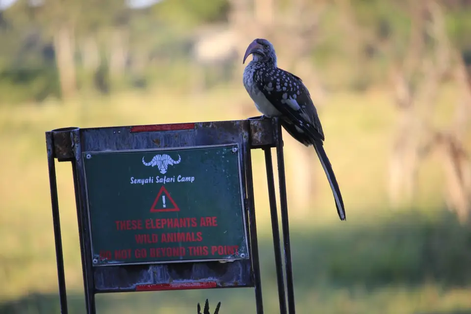_MG_0327.JPG