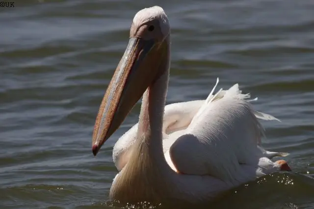 _MG_1139.jpg